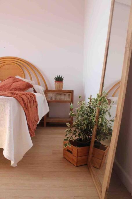 La Loba - Un Pequeno Paraiso A Tu Alcance Villa Fornelos de Montes Luaran gambar